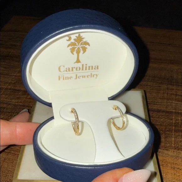 Gold Hoop Earrings - Picture 1 of 2